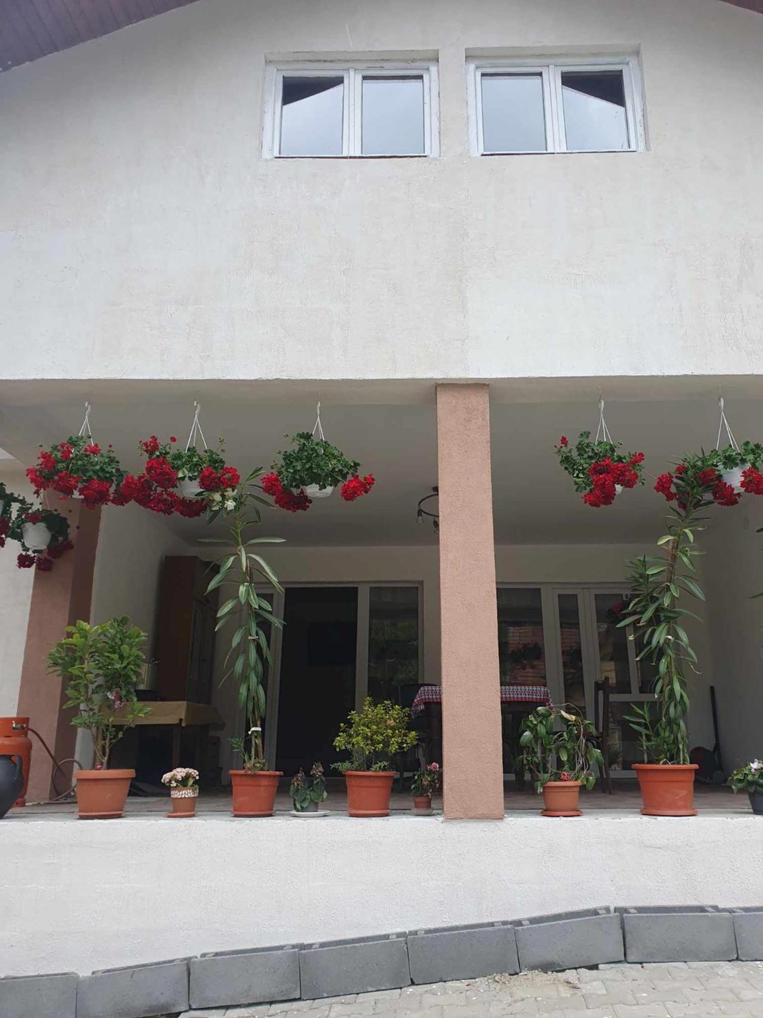 Casa Maksai Hotel Sovata Buitenkant foto