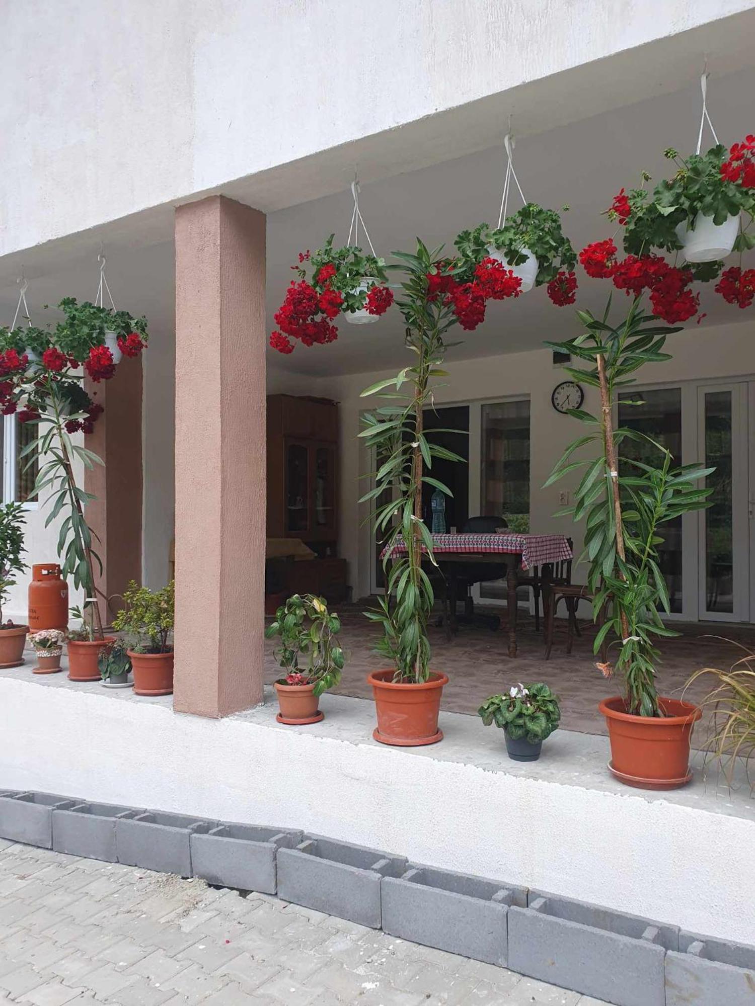 Casa Maksai Hotel Sovata Buitenkant foto