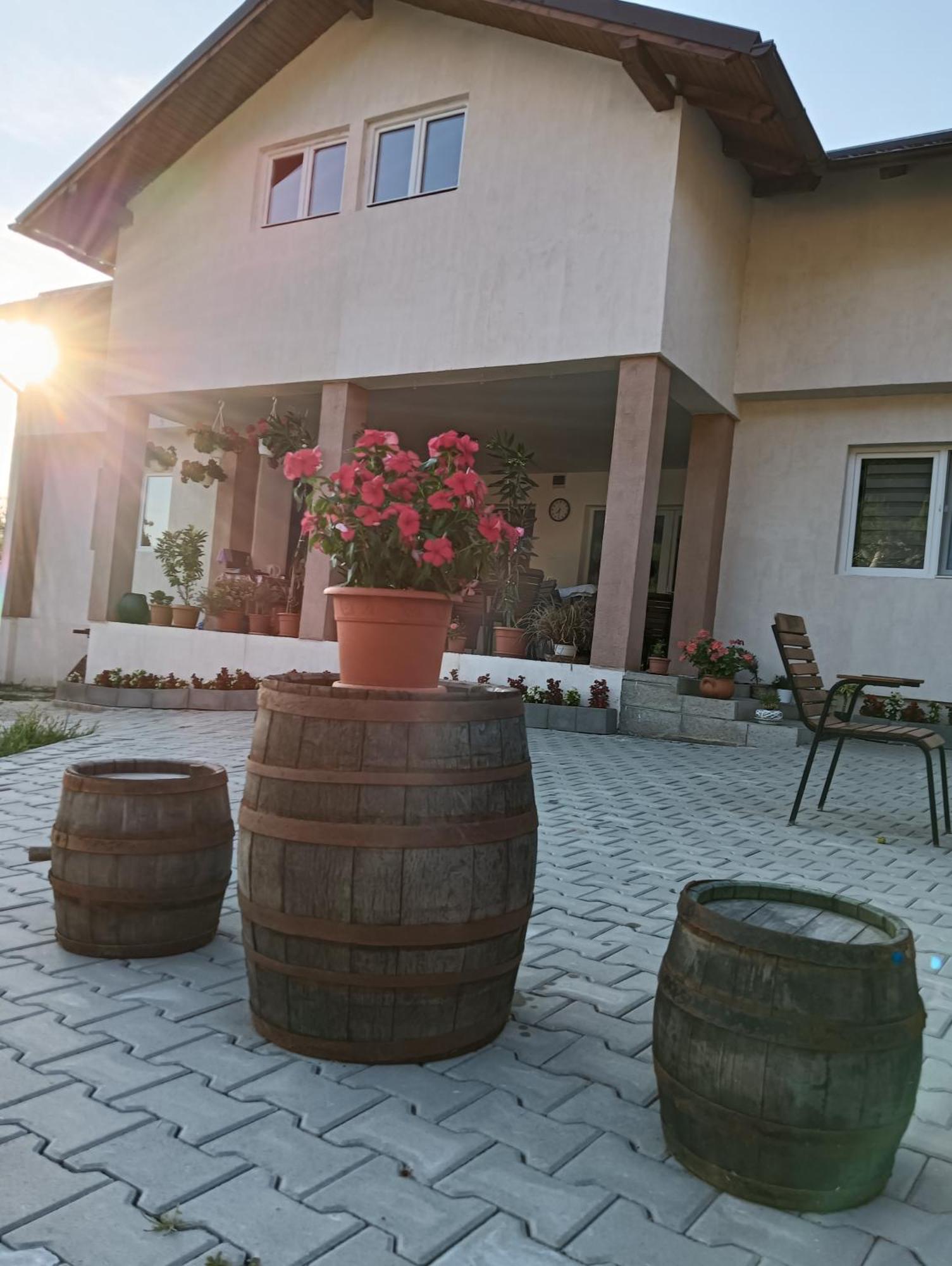Casa Maksai Hotel Sovata Buitenkant foto